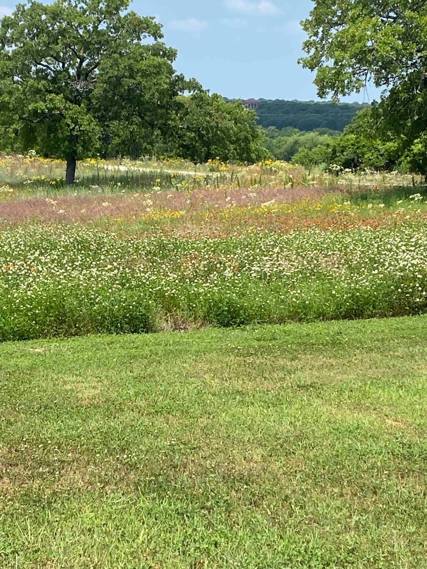Nature Retreateclectic Country Boho Farmhouse Nocona Esterno foto