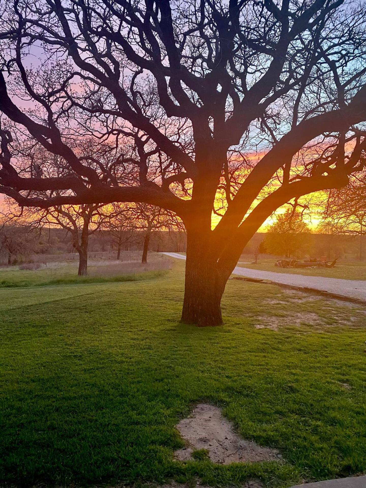 Nature Retreateclectic Country Boho Farmhouse Nocona Esterno foto