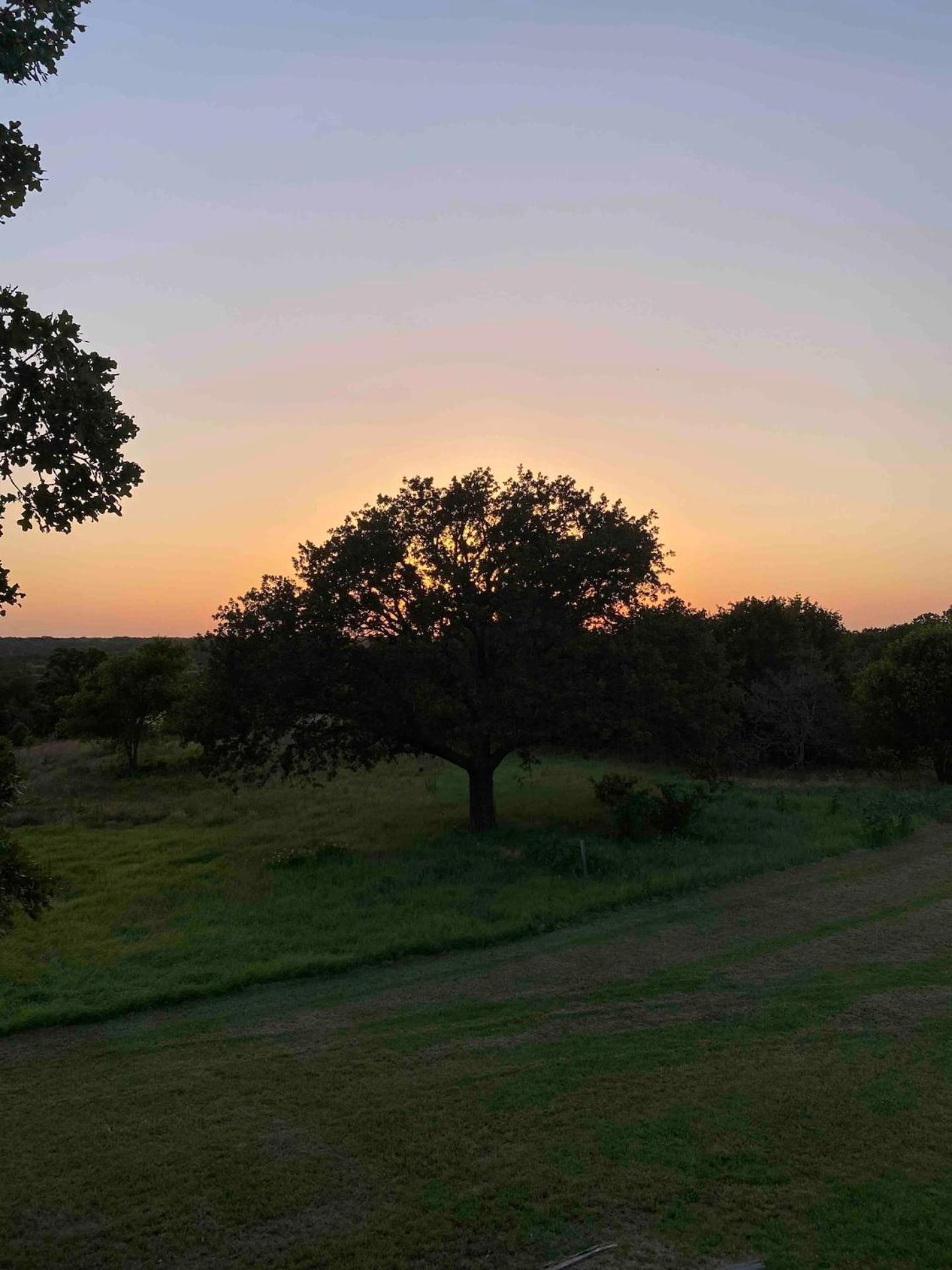 Nature Retreateclectic Country Boho Farmhouse Nocona Esterno foto