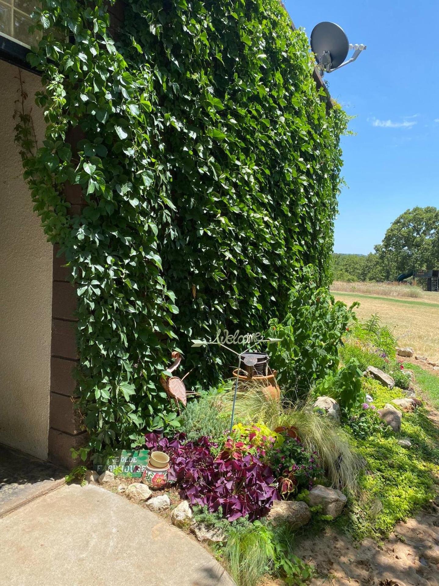 Nature Retreateclectic Country Boho Farmhouse Nocona Esterno foto